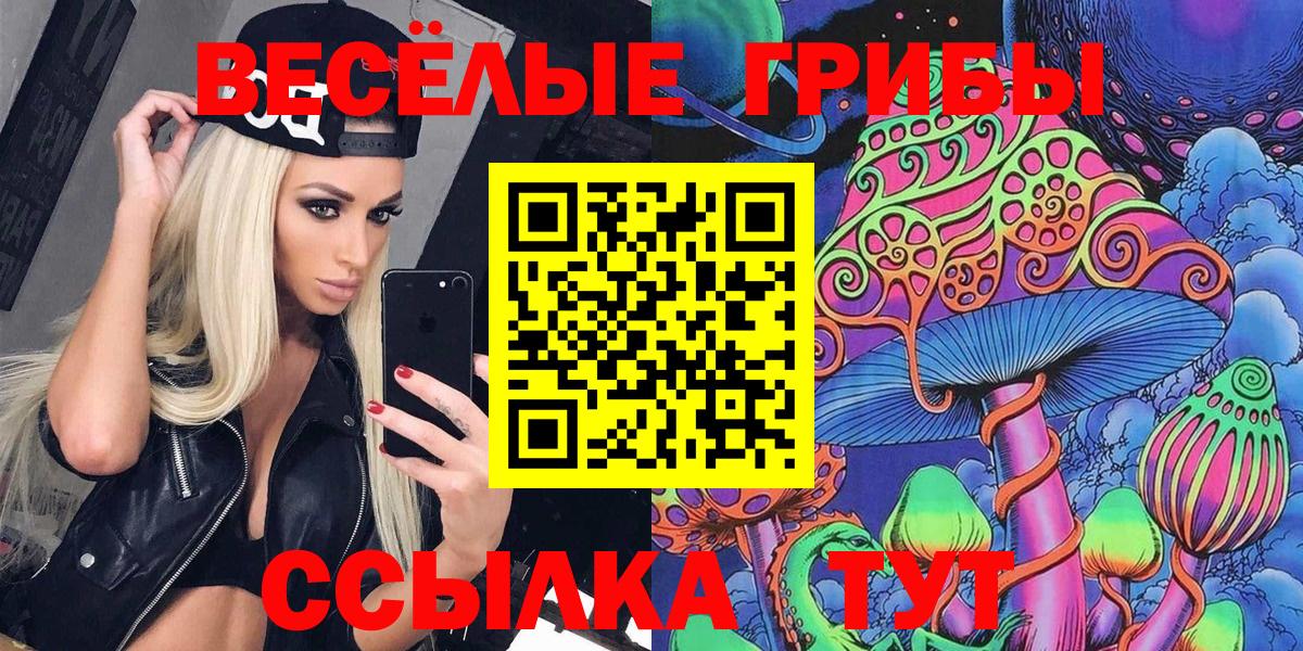 Новотроицк  Галлюциногенные грибы мицелий  Вход с VPN 