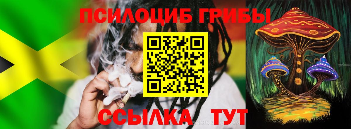 Псилоцибиновые грибы Psilocybine cubensis Новотроицк